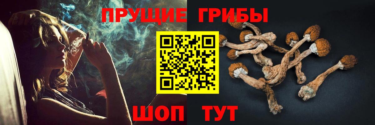 Галлюциногенные грибы Cubensis Троицк